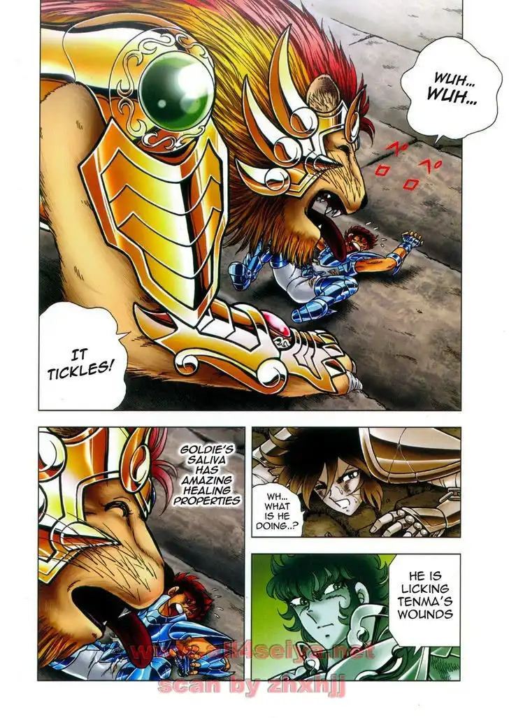 Saint Seiya - Next Dimension Chapter 45 8